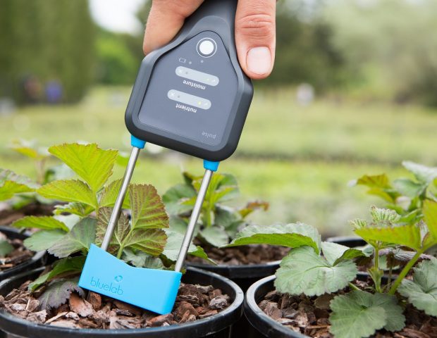 Sensor speeds up measurement