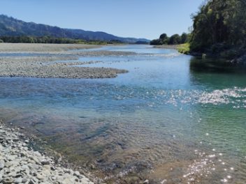 Braided river management can limit aquifer recharge