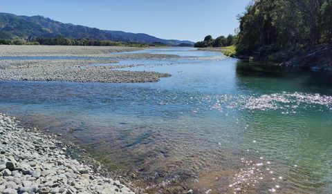 Braided river management can limit aquifer recharge