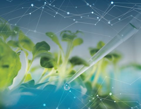 Annual Review 2024 highlights innovators