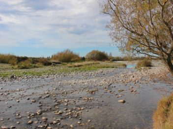 Research shows ephemeral river groundwater recharge