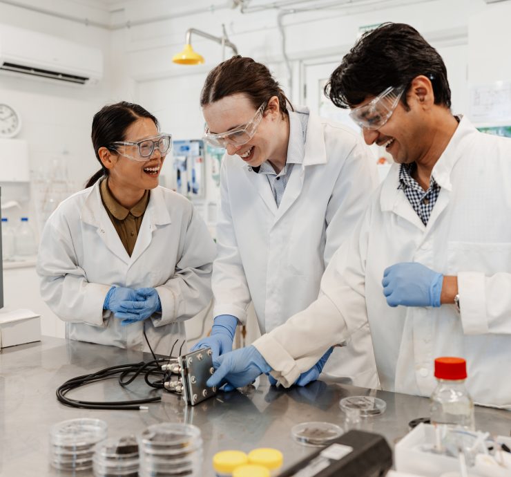 team members working in lab